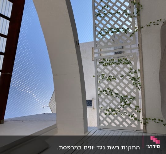רשת נגד יונים מותקנת על תקרה עם צמח מטפס